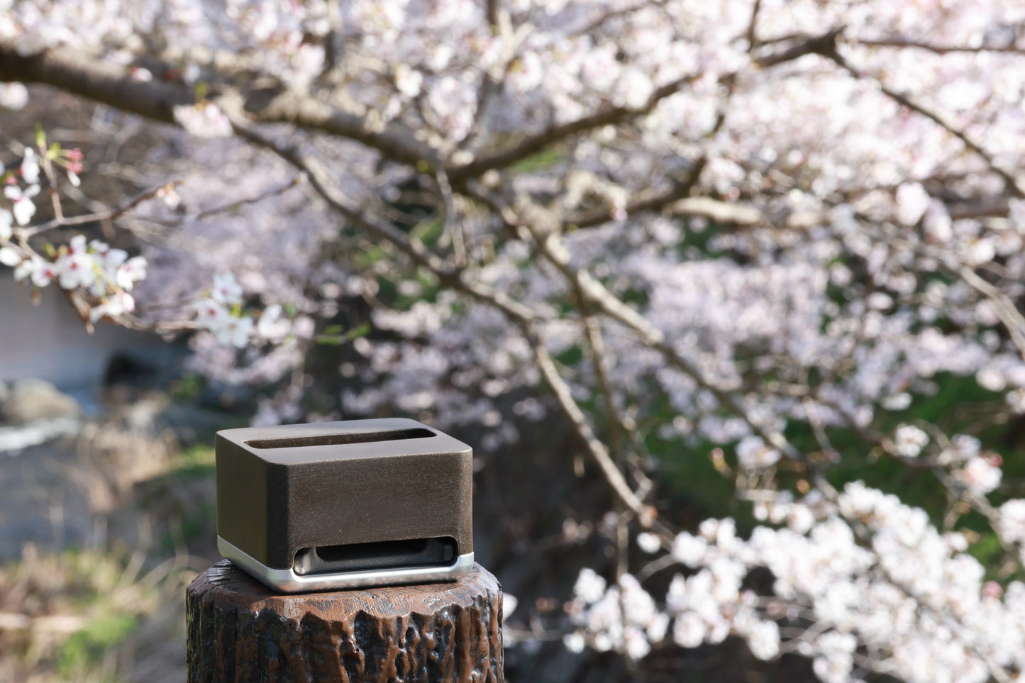 stone speaker ASUKA