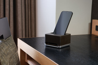 stone speaker ASUKA